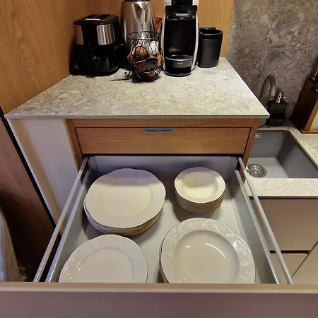 Fs - Family In The Center Of Varna